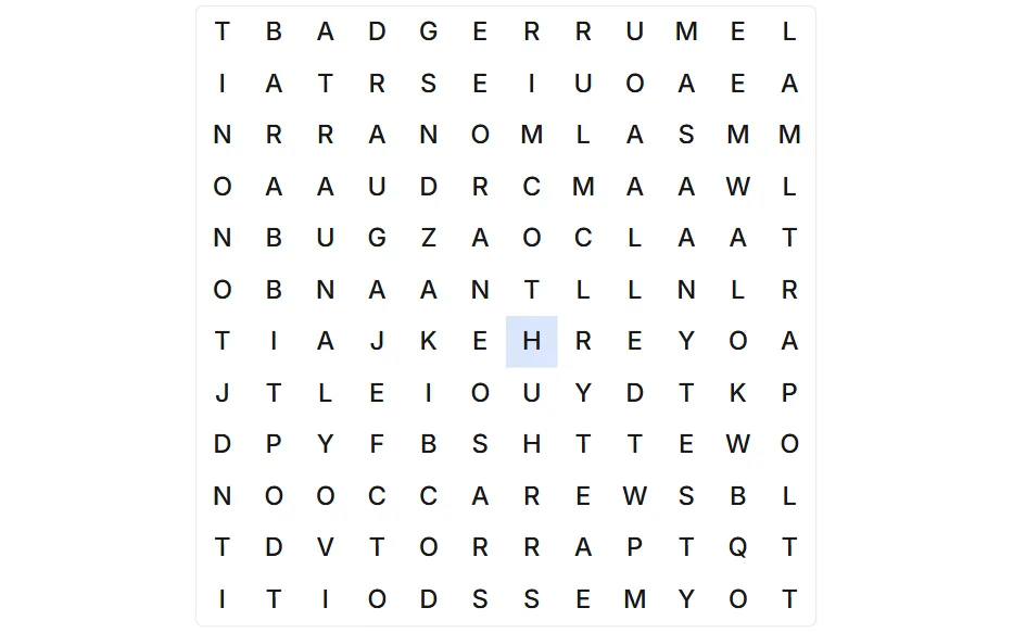 Word Search board